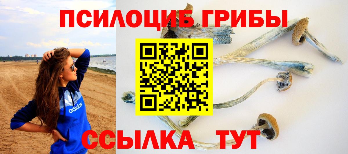 Галлюциногенные грибы MAGIC MUSHROOMS  Вход с VPN  Железногорск 